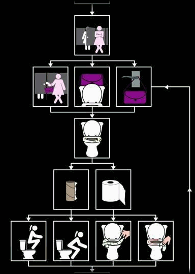 Schéma, jak to chodí u žen a u mužů na veřejném záchodku