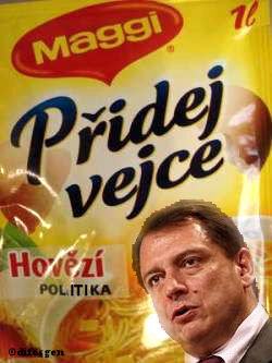Obrázek