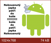 Obrázek