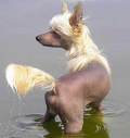 Paris Hilton - hloup� blond�na s bohatou rodinou
